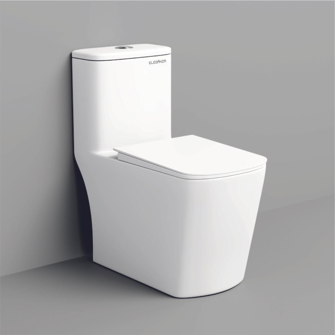 Renzo-6D Siphonic Closet